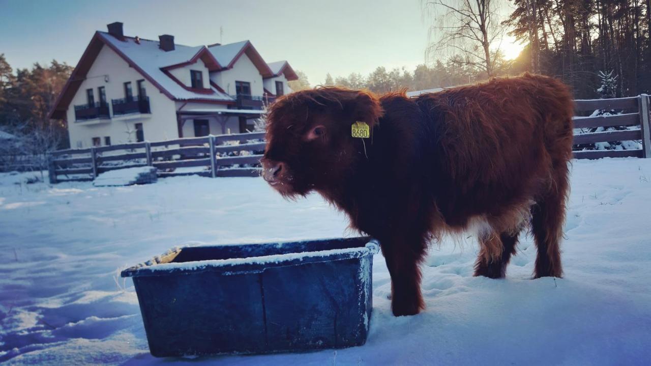 Zagroda Jakubka Myszyniec Exteriér fotografie